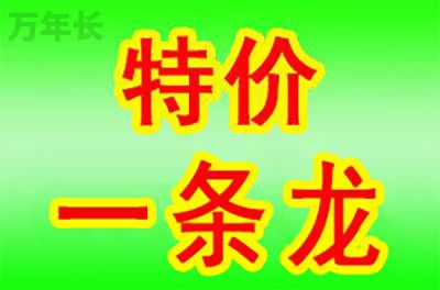 1754106378217277.jpg